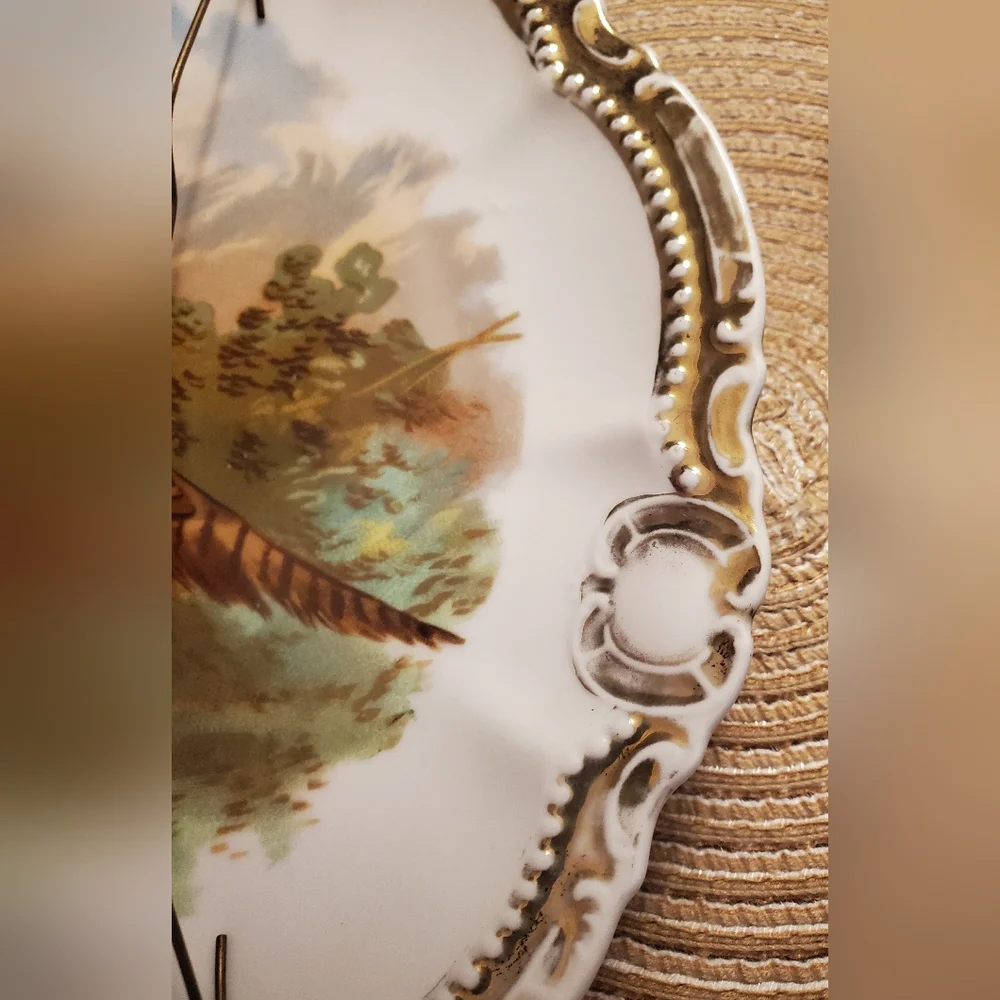 Bavarian Vintage Decorative plate , early 1900s - Picture 11 of 12